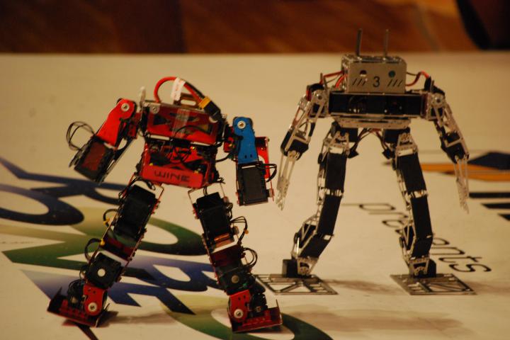 Biped robot entertainment -